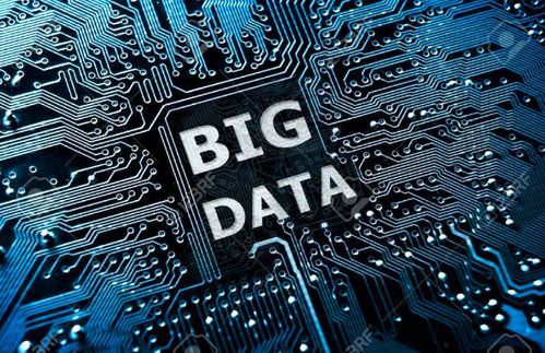 大數據賦能現代農業 小小藍莓化身“發財果”的科技密碼